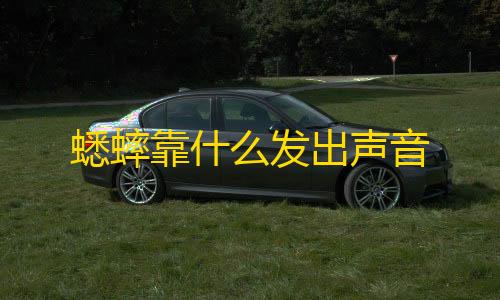 暗区突围物资透视挂蟋蟀靠什么发出声音